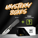 We Knife Baloo Mystery Box Knife - Premium CPM 20CV Blade, Titanium Handle With Micarta Inlay For EDC Enthusiasts by We Knife Co Ltd