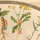 Wazoo Survival Gear Bandana Foraging Reference 12 NA Plants With Uses And Scientific Names And Botanical Art by Wazoo Survival Gear