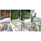 Wazoo Survival Gear Bandana Foraging Reference 12 NA Plants With Uses And Scientific Names And Botanical Art by Wazoo Survival Gear