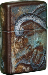Zippo Pirate Coin Lighter - 540 Color Process Finish For Collectors And Pirate Fans Boxed Gift by Zippo