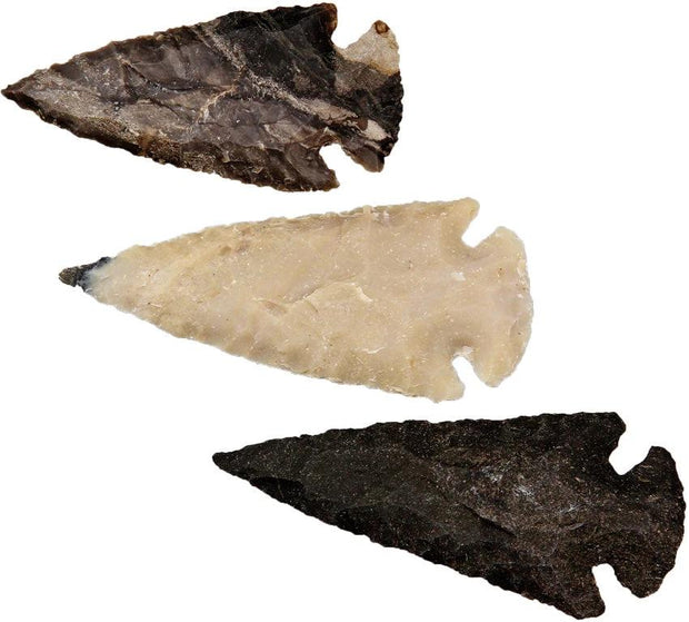 Arrowhead Arrowhead Assortment - Medium 2.5 INCH AGATE SIZE (BAG 25) by Arrowhead