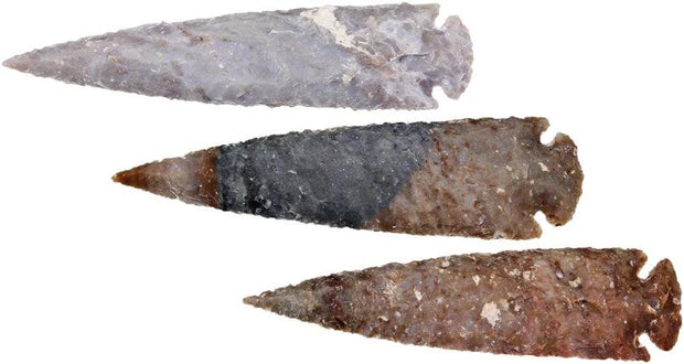 Arrowhead Arrowhead Assortment - XL 5 INCH AGATE SIZE (BAG OF 10) by Arrowhead