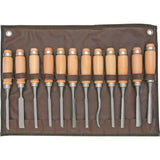 SteeleX 12 Piece Carving Chisel Set by SteeleX