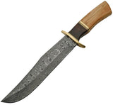 Damascus Olive Wood Damascus Bowie DM-1132 by Damascus