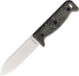Ontario Black Bird ML5 7502