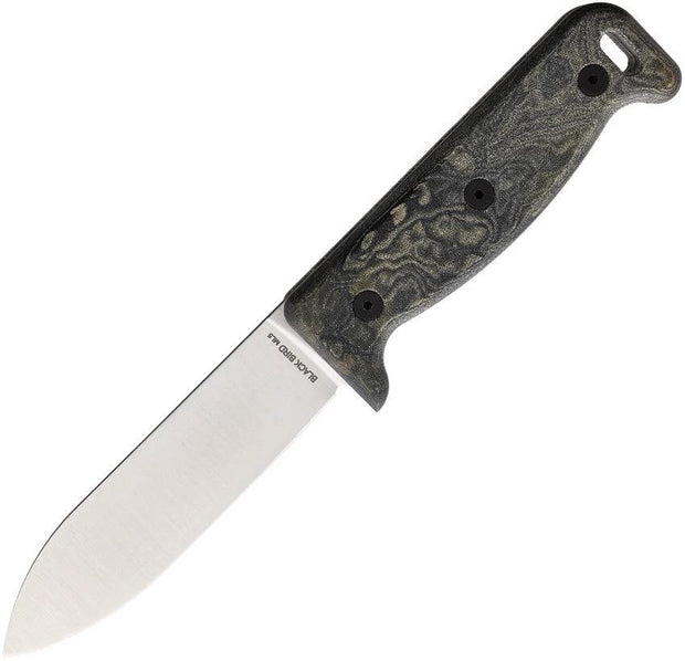 Ontario Black Bird ML5 7502