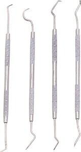 Pakistan Dental Pick Set 100323