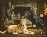 Tin Signs Ducks Unlimited 1038 by Tin Signs