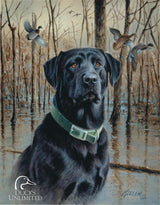 Tin Signs Ducks Unlimited 1203 by Tin Signs