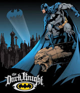 Tin Signs Batman The Dark Knight 1356 by Tin Signs