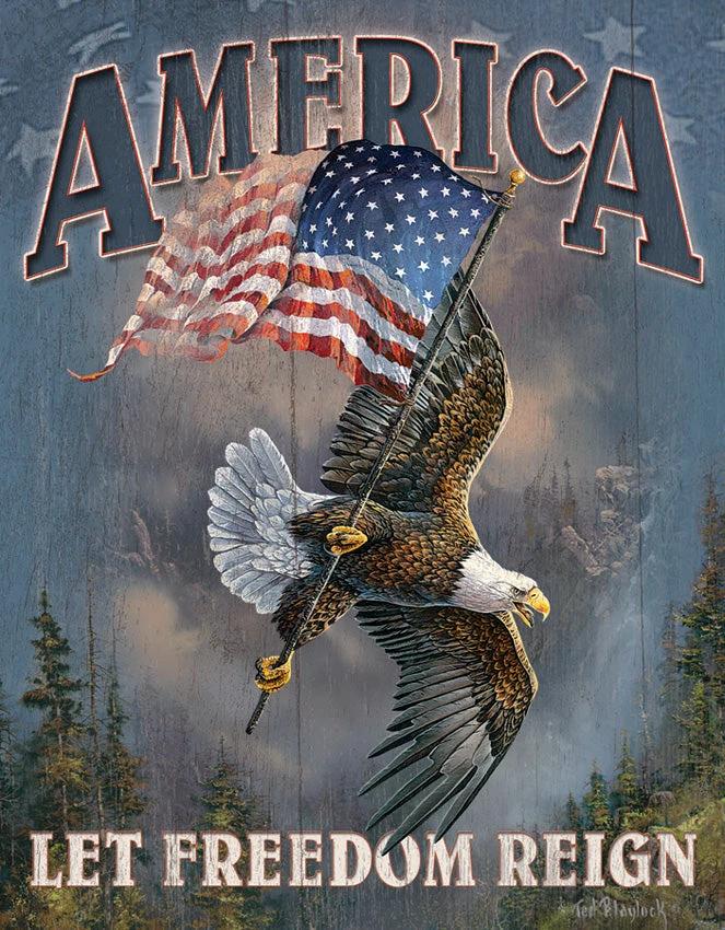Tin Signs Let Freedom Reign 1668 by Tin Signs