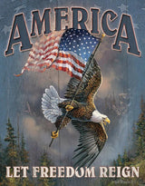 Tin Signs Let Freedom Reign 1668 by Tin Signs