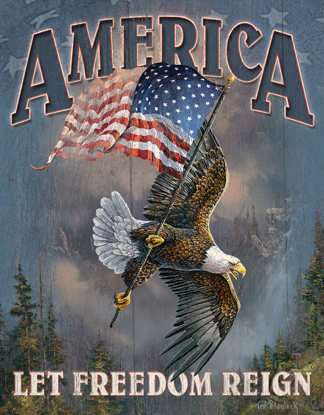 Tin Signs Let Freedom Reign 1668