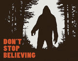 Tin Signs Dont Stop Believing 2195 by Tin Signs